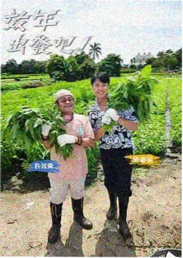 被窝影院慢综艺 凌晨三点的厨房 海报